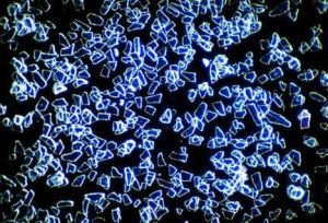 Una gran ampliación de las partículas TruTag, cada una de ellas es un "chip" comestible que autentica el producto al que se aplica.