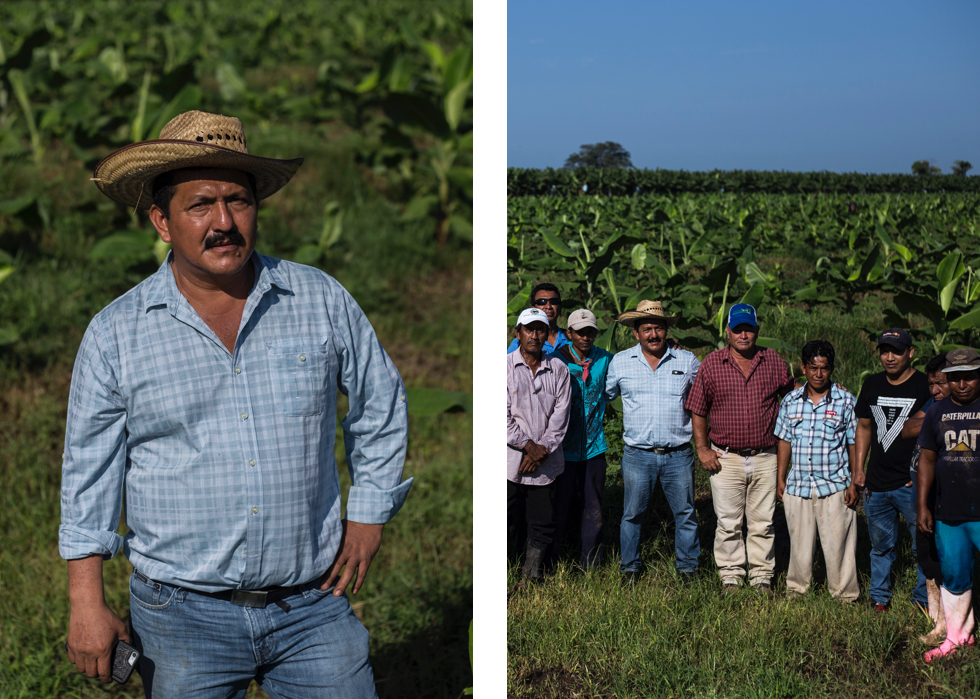 La trampa de la capital del sur