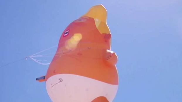 [TLMD - SD] El "bebé Trump" vuela sobre el cielo de Calexico