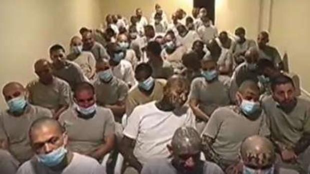 Increíble: un solo testigo contra 400 miembros de la Mara