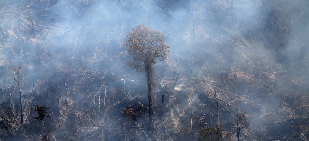 ¿Quieres estudiar el cambio climático? Italia es el primer país en lanzar esta materia