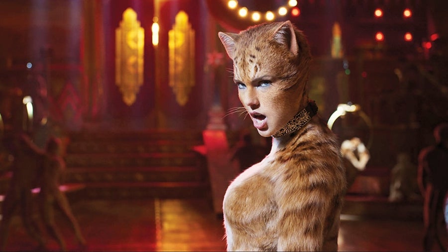 gatos taylor swift