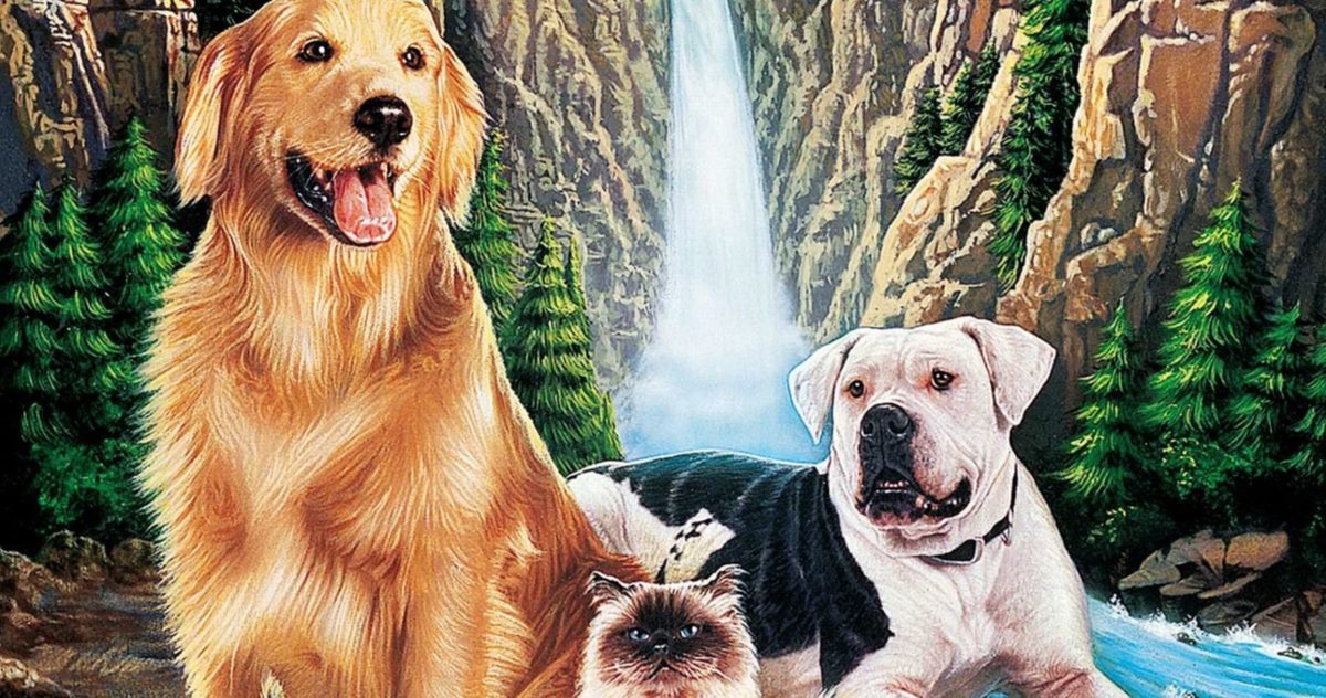 Disney: las 10 mejores películas de acción en vivo de los años 90 (según IMDb)