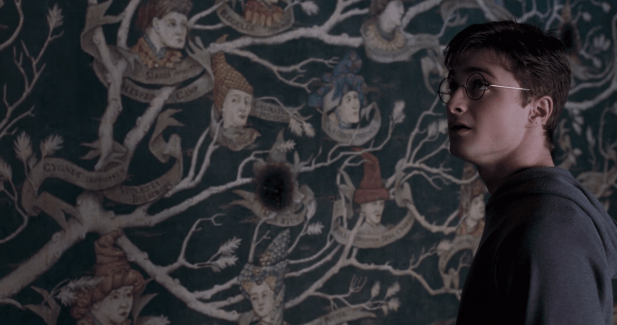 Harry Potter: 10 cosas que las películas dejan de lado sobre la noble casa de Black