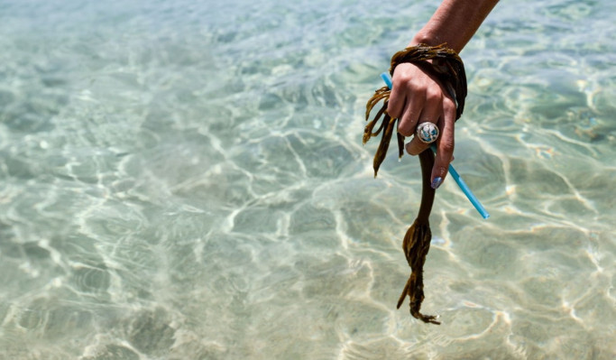 Las alternativas de plástico a base de algas de Loliware obtienen $ 6 millones de semillas de inversores con conciencia ecológica