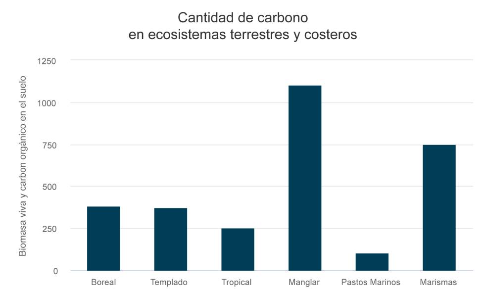 Cambio climático