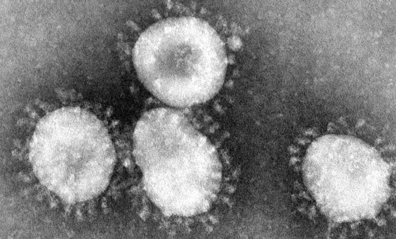 Detectan el primer caso del temible coronavirus en EEUU 1 Detectan el primer caso del temible coronavirus en EEUU 1