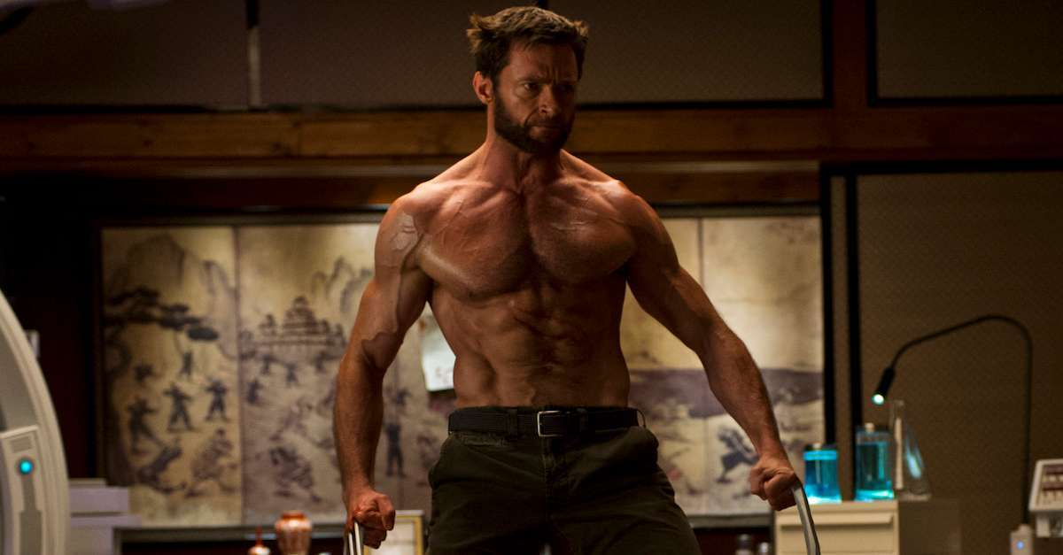28-the-wolverine_a89626
