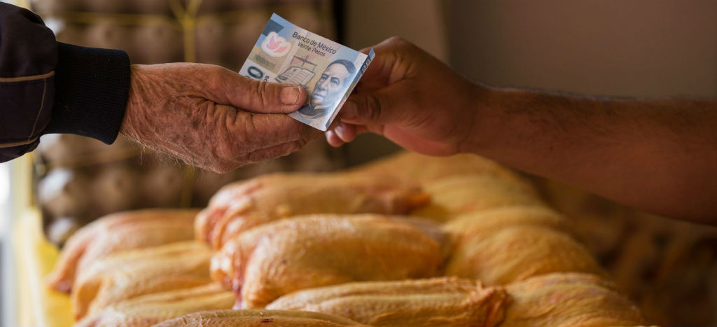 Gobierno de AMLO garantiza abasto de pollo y descarta aumento en precios