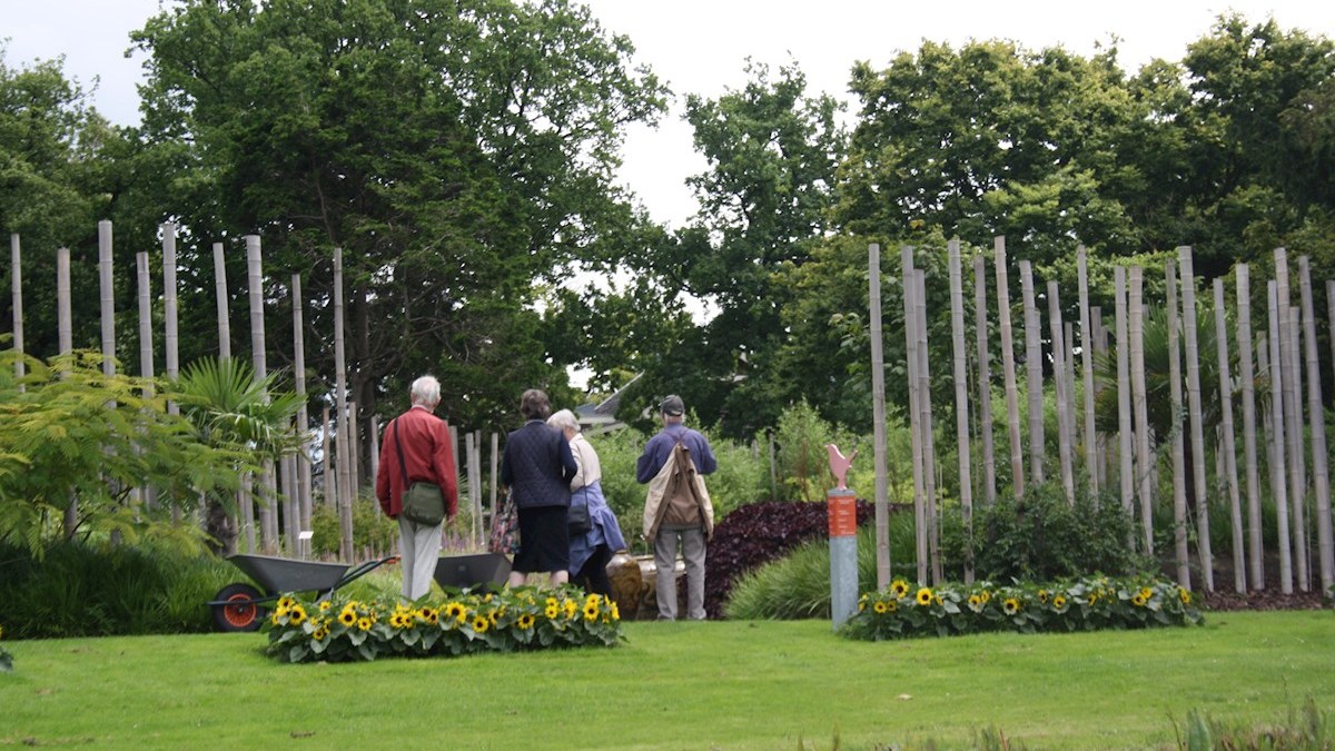 Holandeses podrían elegir la eutanasia cuando estén “cansados” de vivir
