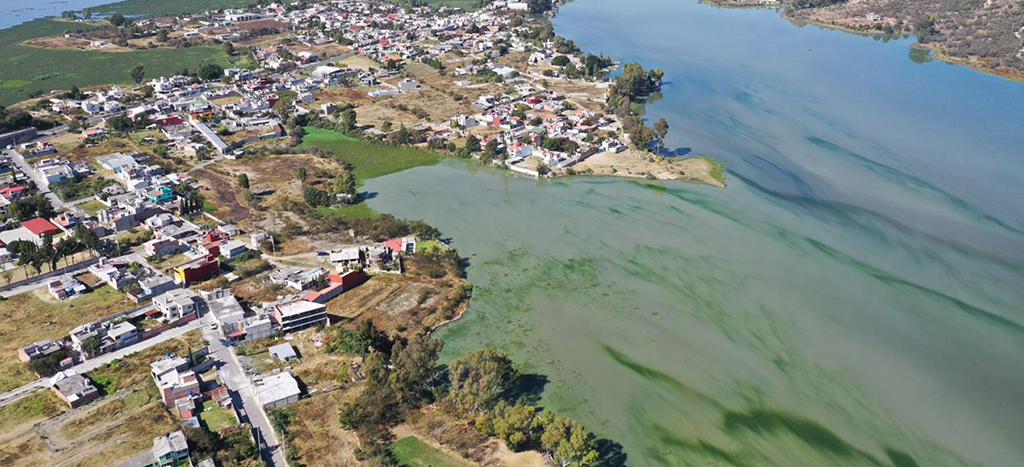 Jalisco ocultó por 10 años estudio sobre contaminación del Río Santiago; las muertes, una constante en la zona