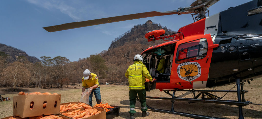 Llega más ayuda a Australia por incendios; Japón y Canadá se solidarizan