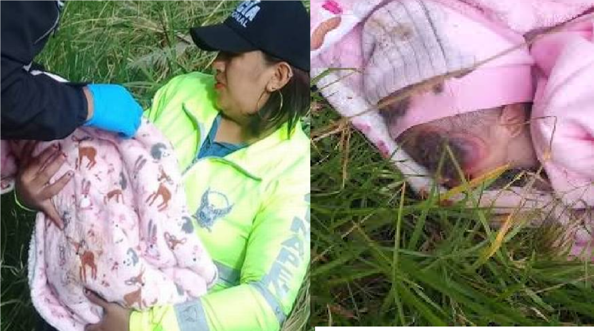 Muere bebé abandonada y devorada por larvas de mosca, la menor tenía 10 días de nacida