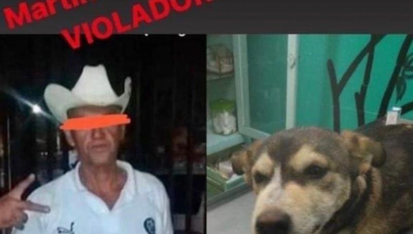 Muere violada una perrita, por un desquiciado sujeto ¡INDIGNANTE¡