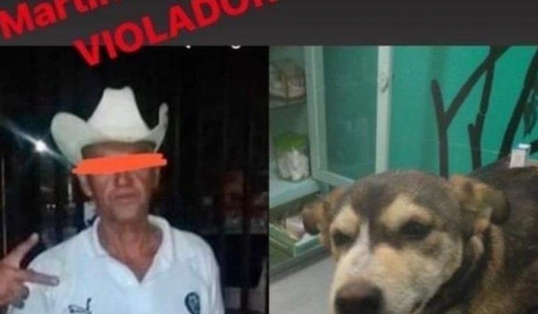 Muere violada una perrita, por un desquiciado sujeto ¡INDIGNANTE¡