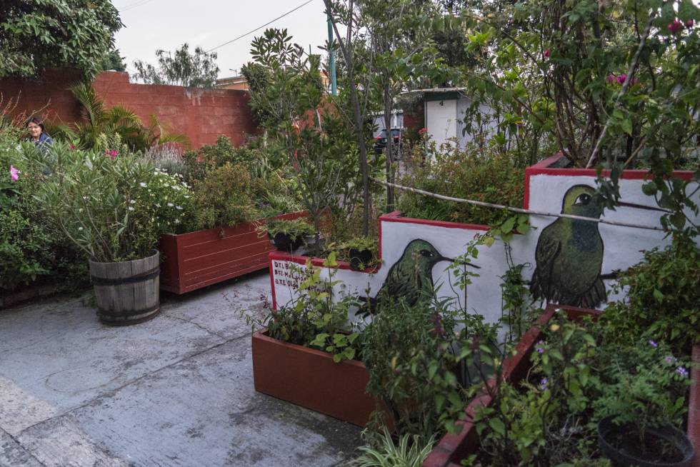 El jardín de colibríes del IEMS Iztapalapa.