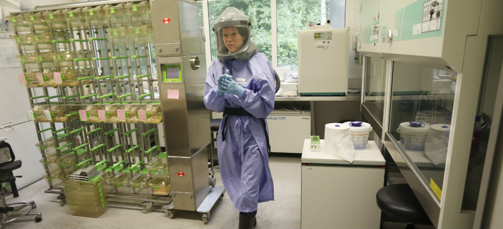 Por temor al coronavirus, Corea del Norte ya no permitirá la entrada de turistas extranjeros