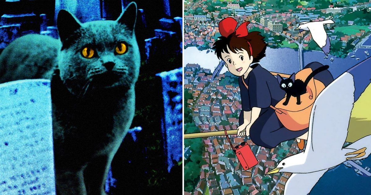 ¡Que los créditos maúllen! 10 mejores películas de gatos | ScreenRant