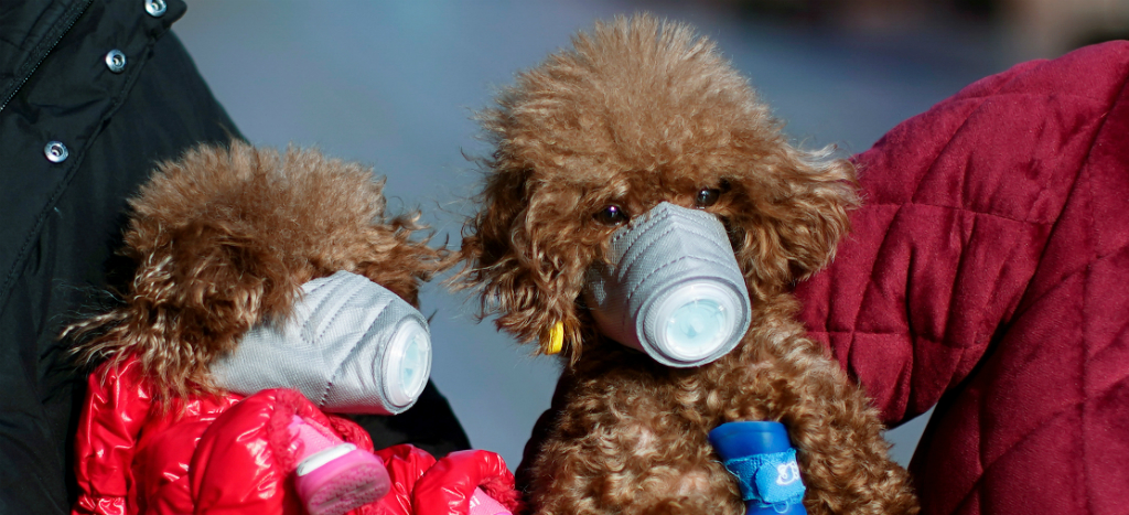 Aumenta a mil 665 muertos por Covid-19