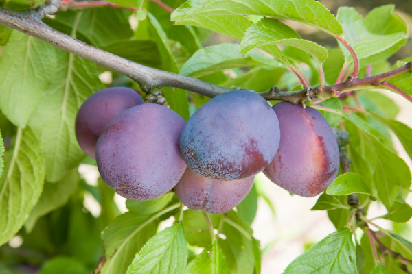 Leanplum recauda otros $ 27M, sacude sus filas ejecutivas