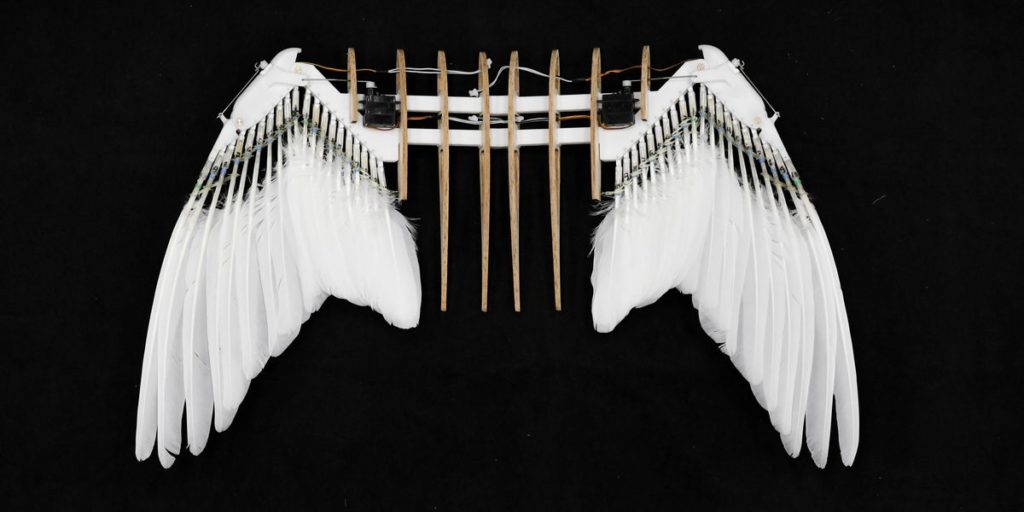 Lo que nos dice este PigeonBot sobre el futuro del vuelo