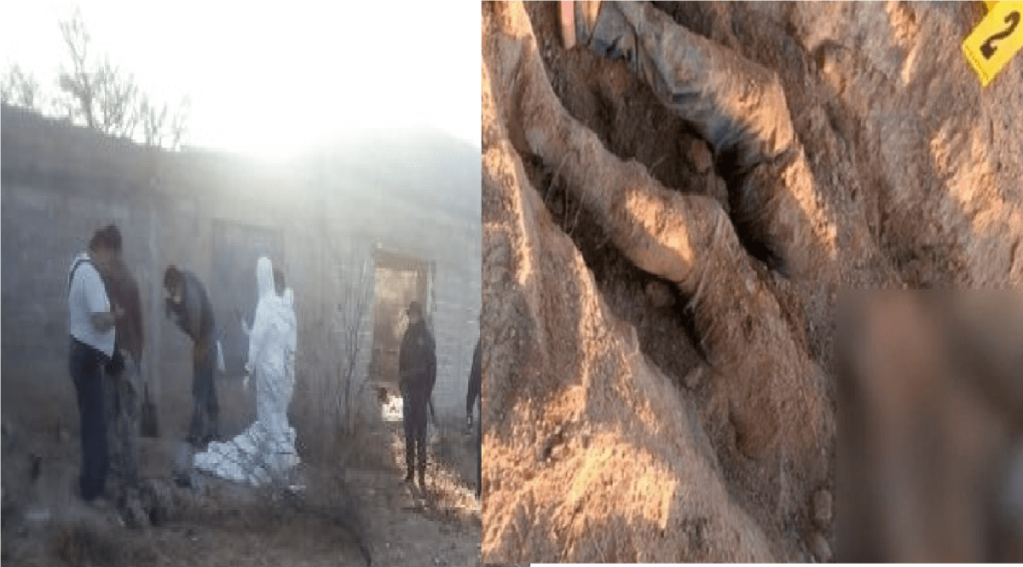 Localizan cadáveres de 19 hombres y 5 mujeres en una narcofosa