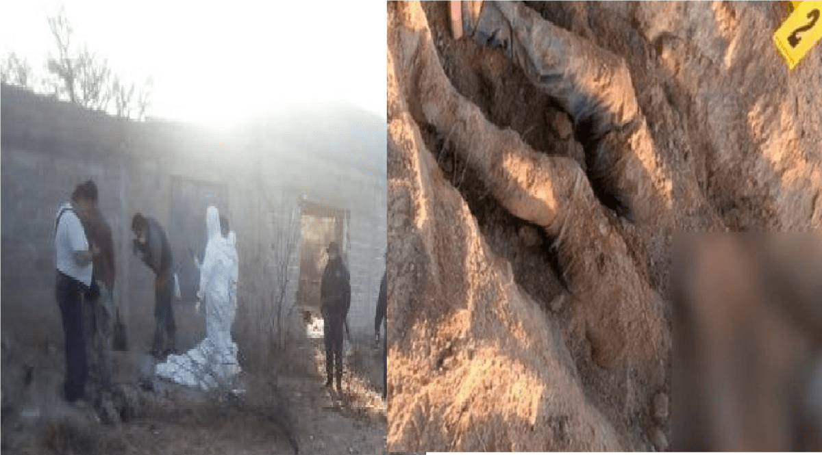 Localizan cadáveres de 19 hombres y 5 mujeres en una narcofosa