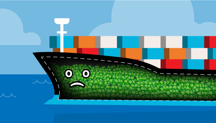 Los despidos afectaron a otra compañía de Softbank mientras que $ 3.2B Flexport recorta 50