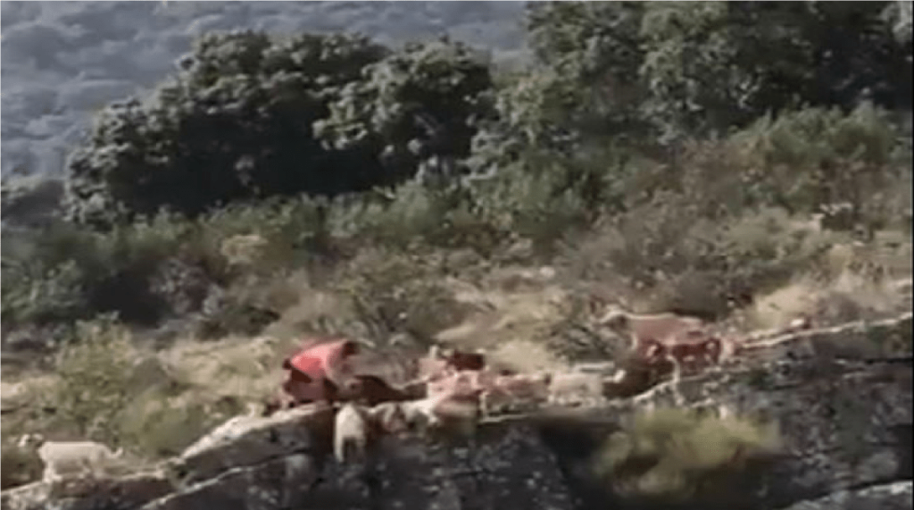 Hallan dos sujetos muertos ejecutados, sobre Libramiento a Palmillas en un barranco de Amealco