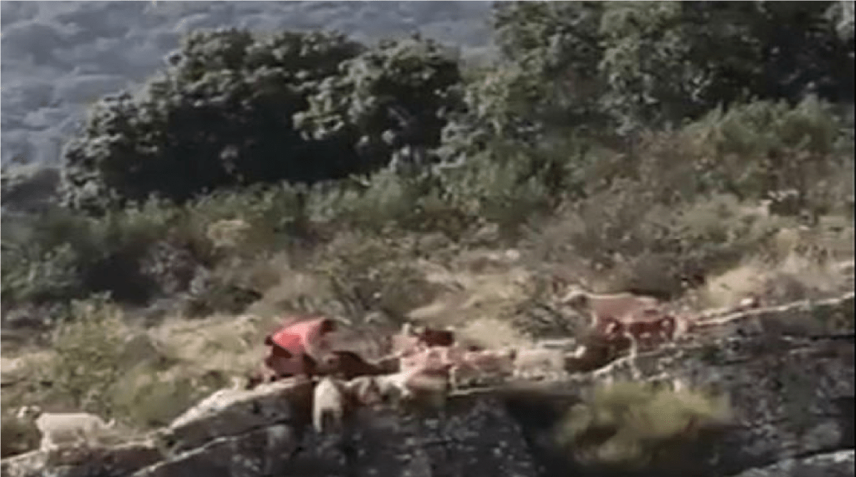 Hallan dos sujetos muertos ejecutados, sobre Libramiento a Palmillas en un barranco de Amealco