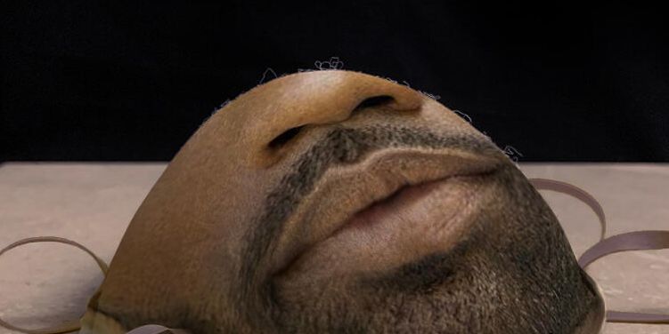 Las máscaras de respirador personalizadas son nuestra nueva realidad sombría