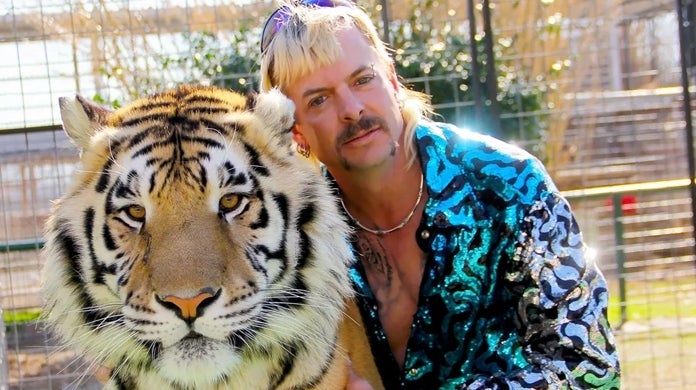 rey tigre netflix rey tigre netflix