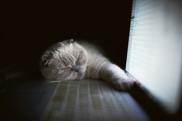 Un complemento ordenado para unirse a una llamada de Zoom desde su navegador