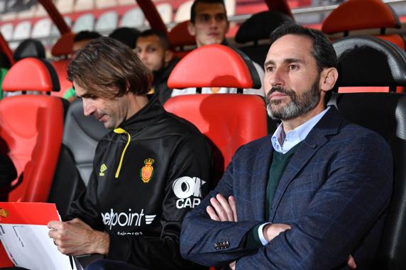 Vicente Moreno, entrenador del Mallorca
