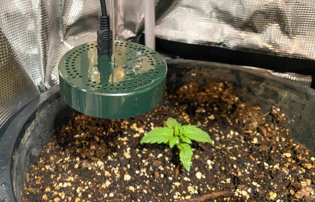 El sensor de aire Mendel de $ 99 usa datos para ayudarlo a cultivar mejores verduras (o malezas)