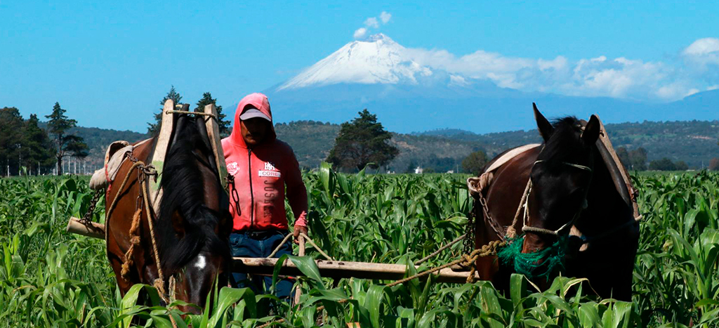CNA urge plan nacional conjunto para enfrentar Covid-19