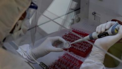 Hay tres vacunas contra el Covid-19 en ensayo clínico: OMS
