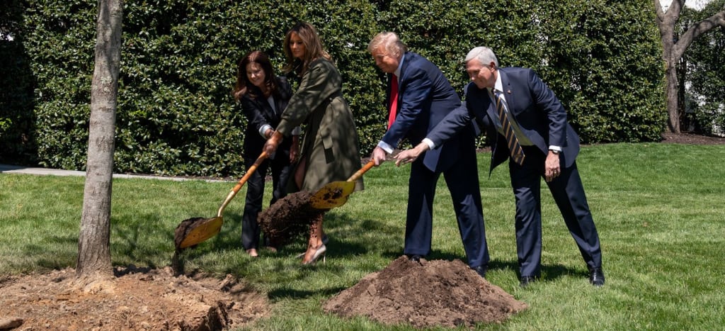 Trump anuncia reapertura de parques nacionales pese a pandemia