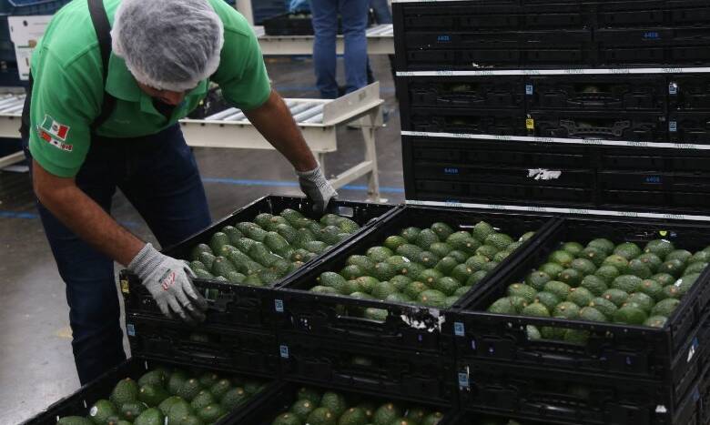 Baja 1.9% comercio México-EU, pero nuestro país sigue siendo su principal socio