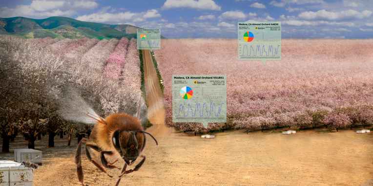 BeeHero se ensombreeza las colmenas para proporcionar 'polinización como servicio' con ronda de semillas de $4 millones