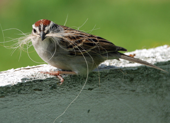 Bolsas Derrita $2.2M semilla para escalar su IA para la gestión de residuos