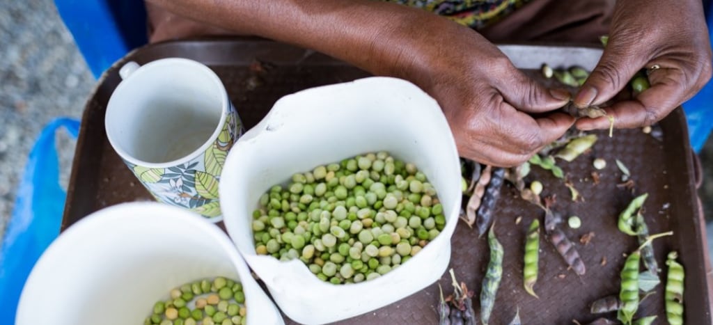 Covid-19: Millones estarían en riesgo de inseguridad alimentaria severa en América Latina y el Caribe