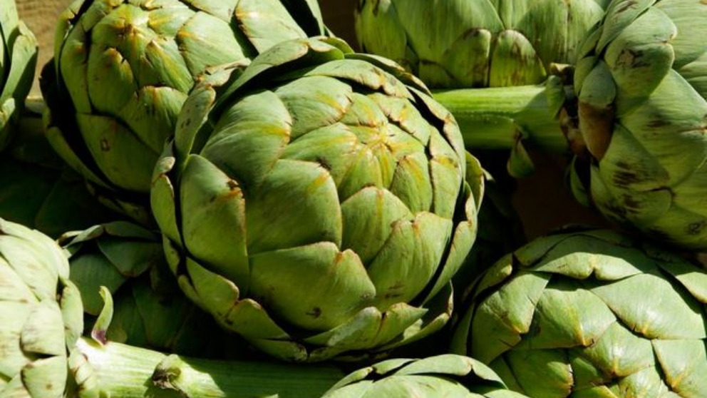 Descubre algunos quemagrasas naturales