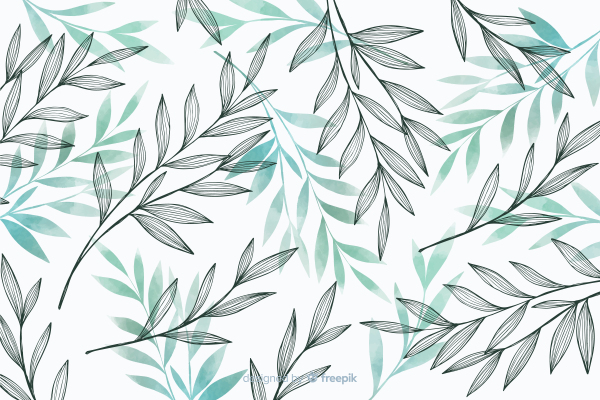 EQT adquiere gráficos freemium y mercado de fotos de stock, Freepik