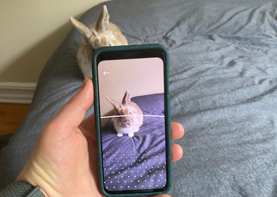 El último experimento de Google fomenta el distanciamiento social a través de la realidad aumentada