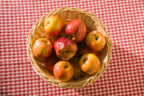 Presentamos el calificador de hoja de términos