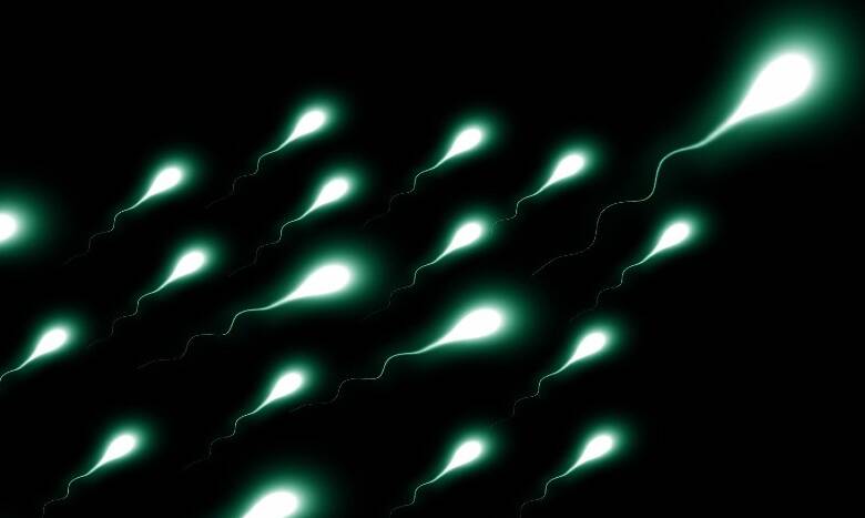Semen con virus puede indicar una pequeña probabilidad de contagio sexual del Covid-19: estudio
