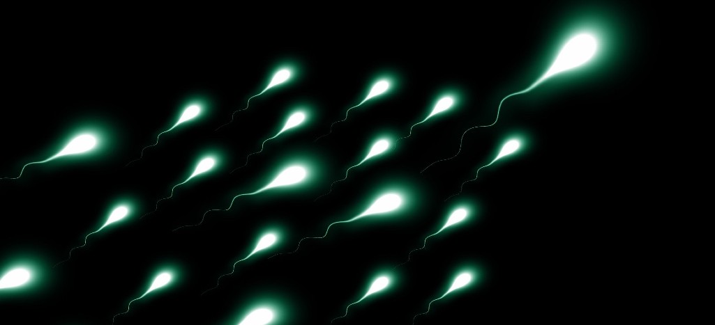 Semen con virus puede indicar una pequeña probabilidad de contagio sexual del Covid-19: estudio