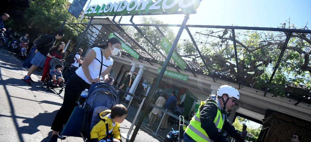 Tras cuarentena, reabre zoológico de Londres con restricciones