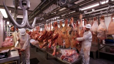 Por qué el coronavirus avanza rápido en la industria de la carne en otros países y no en Argentina